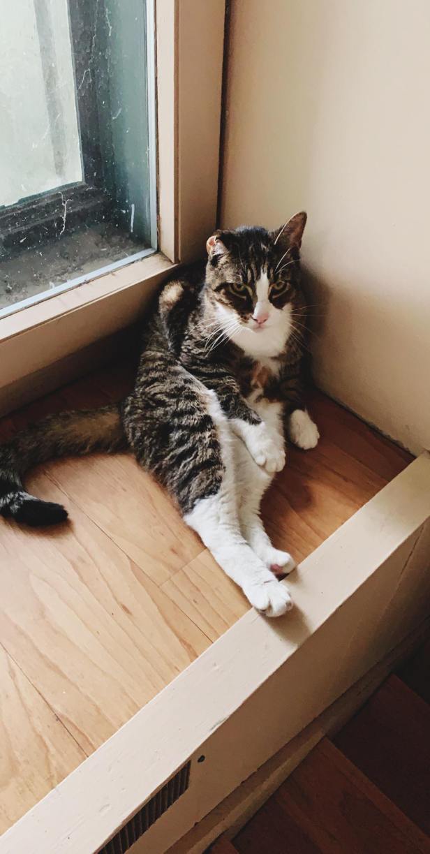 50745407_613567139072200_4816795746470723584_n